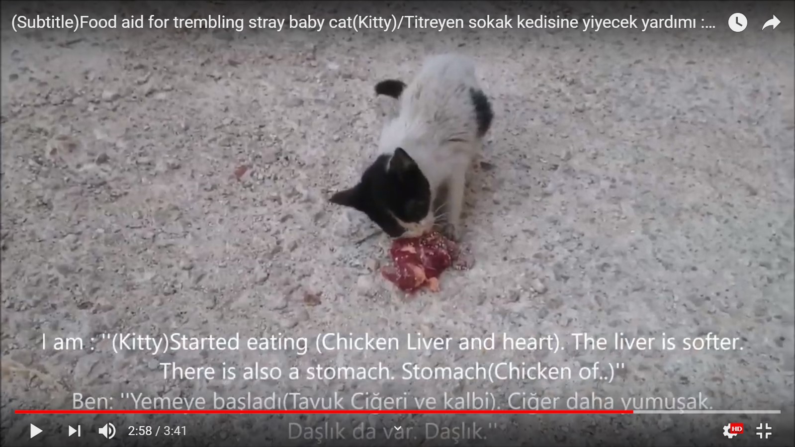 Zavallı titreyen yavru sokak kedisine yardım yemek vermek tavuk ciğeri kalbi daşlık  Scre...jpg