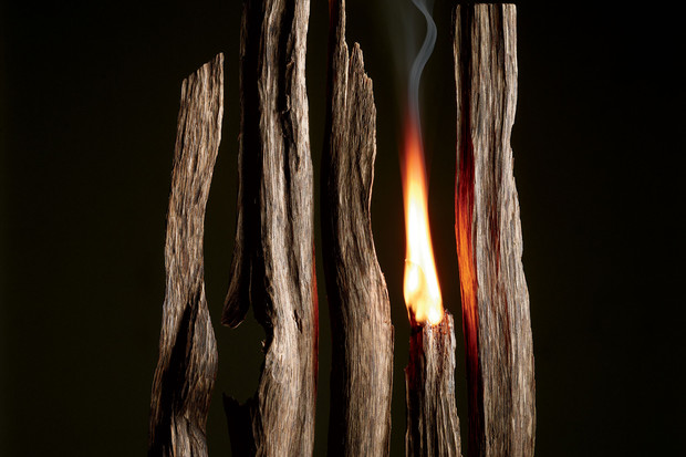 öd ağacı parçaları ve biri yanıyor veduman çıkıyor burning-oud-wood.jpg
