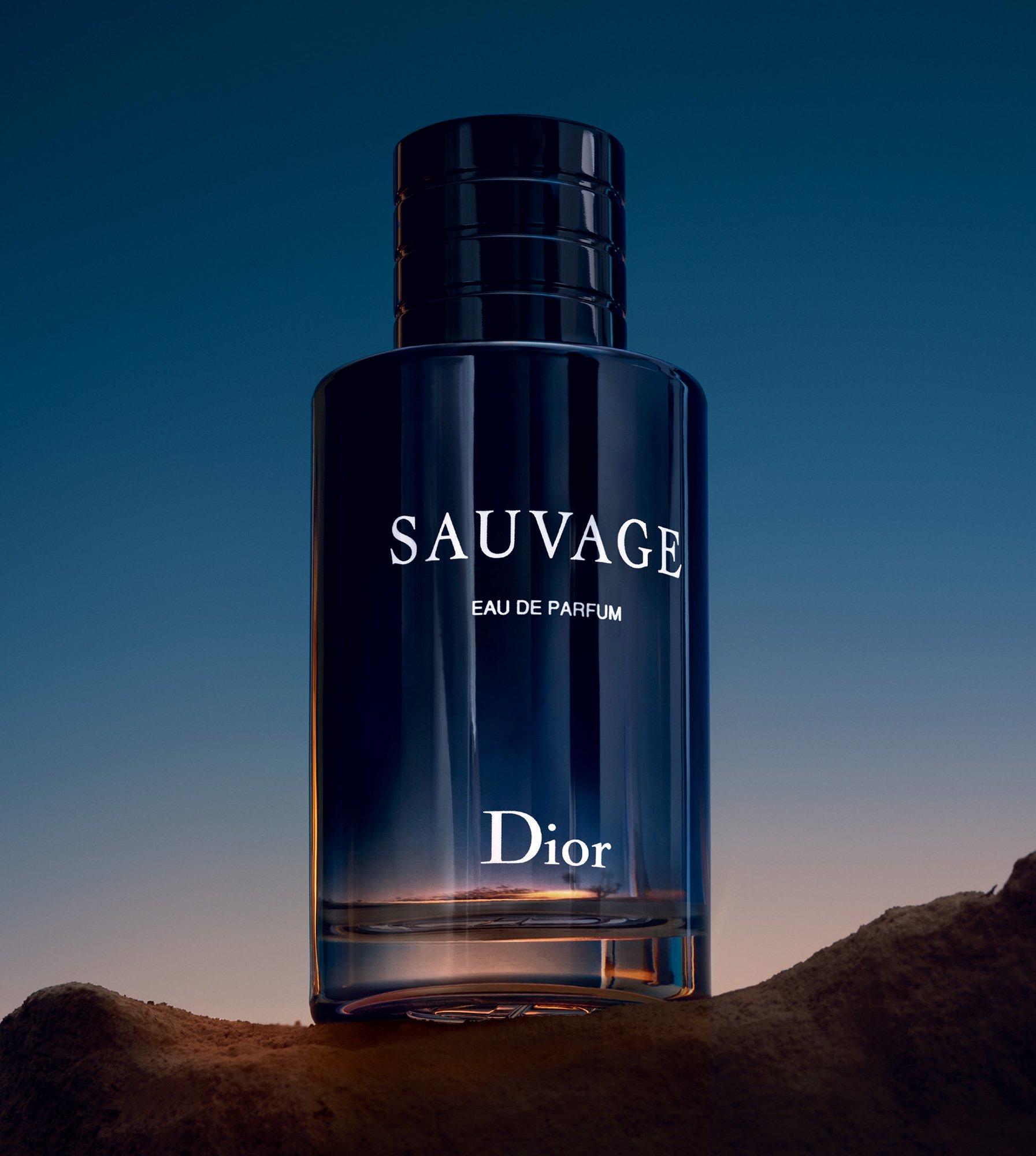 Sauvage Eau de Parfum Christian Dior for meno.61917.jpg